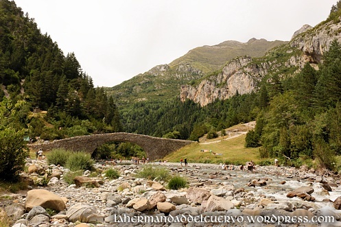 Río Ara y puente de Bujaruelo. Valle del Bujaruelo (Ordesa)